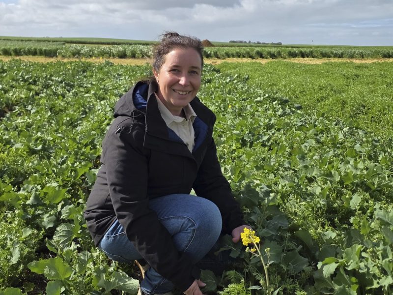 Farmers put regenerative agriculture to the test - CSIRO