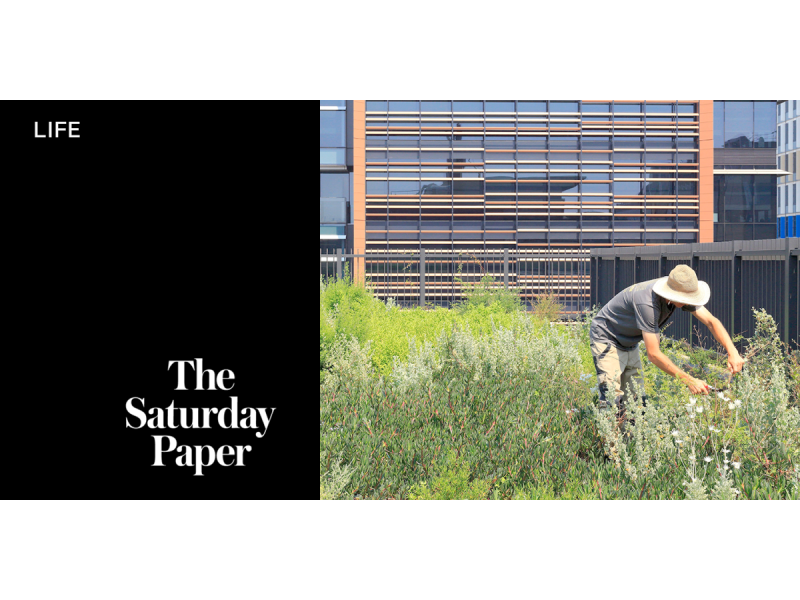 Soil is the secret to survival in the concrete jungle | The Saturday Paper