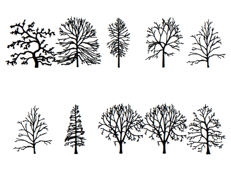 Read the Tree Leaves, With an Artist's Invented Tree Font - Atlas Obscura