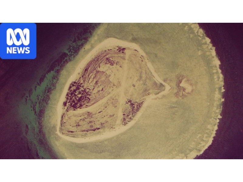 Guano mining left Lady Elliot Island a barren wasteland. Now it's a tropical oasis - ABC News