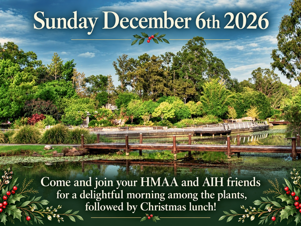 HMAA and AIH Members Christmas Events in Queensland