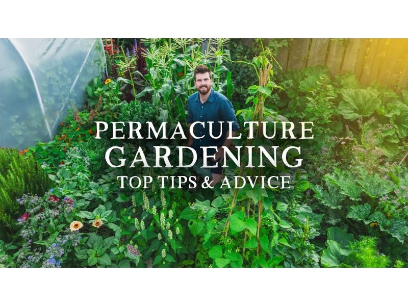 Permaculture Gardening Advice for Vegetable Gardeners (2 Hours of Top Tips) – YouTube