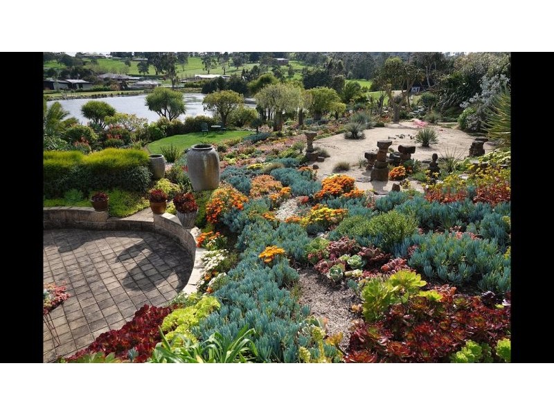 Attila Kapitany, Plantsman, Expert Cacti and Succulent Grower, Author, Australia – 8 October 2025 – YouTube